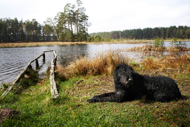 Similar image 1186366