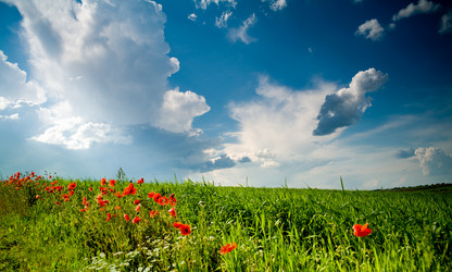 Similar image 1186371