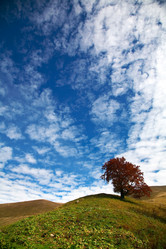 Similar image 1186372