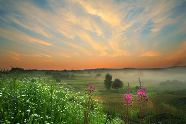 Similar image 1186373