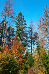 Similar image 1186376