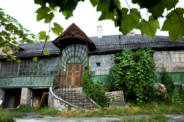 Similar image 1186384