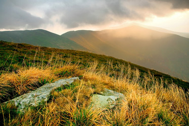 Similar image 1186387