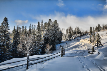 Similar image 1186393