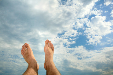 Similar image 1186404