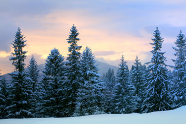 Similar image 1186435