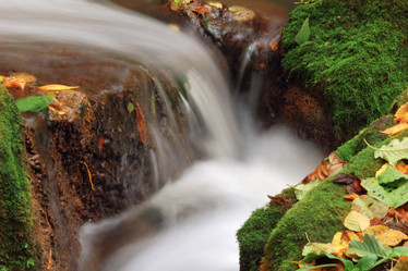 Similar image 1186453