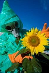 Similar image 1186459