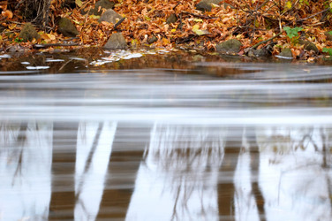 Similar image 1186464