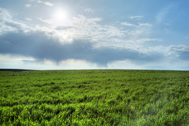 Similar image 1186472