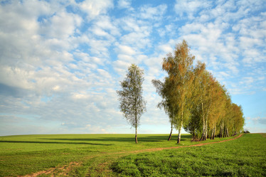 Similar image 1186489