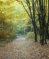 Similar image 1186494