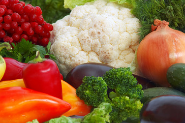 Similar image 1186500