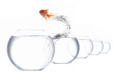 Similar image 1186505