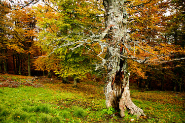 Similar image 1186508