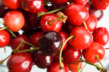 Similar image 1186510