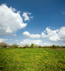 Similar image 1186528