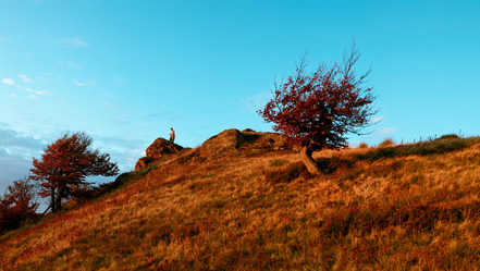 Similar image 1186534