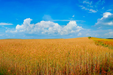 Similar image 1186542