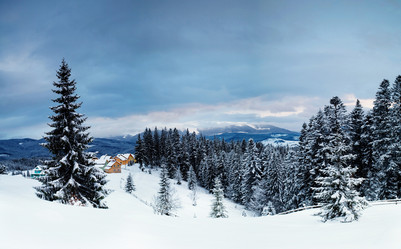 Similar image 1186548