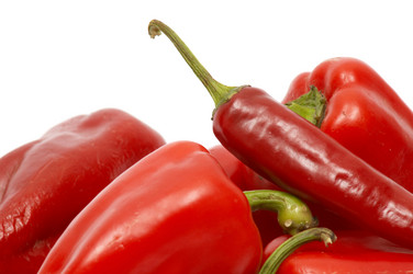 Similar image 1186569