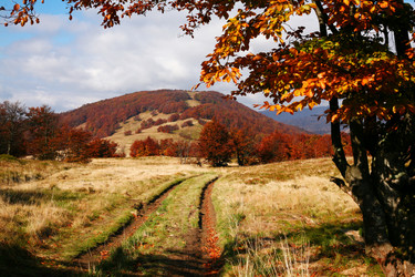 Similar image 1186574