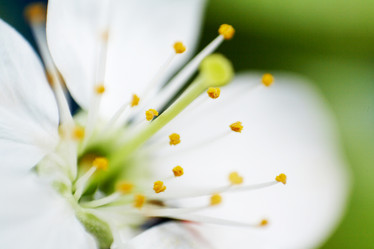 Similar image 1186588