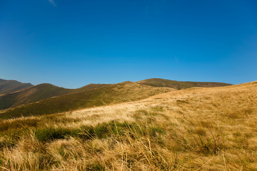 Similar image 1186591