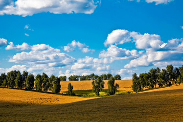 Similar image 1186594