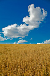 Similar image 1186595