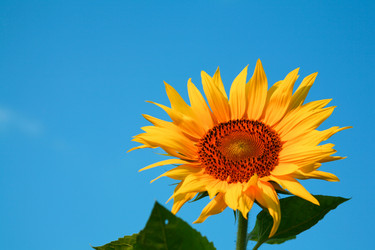 Similar image 1186597