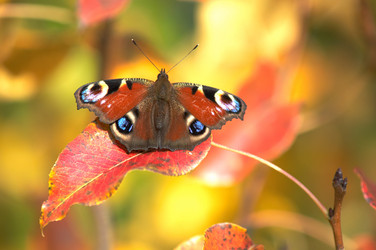 Similar image 1186616