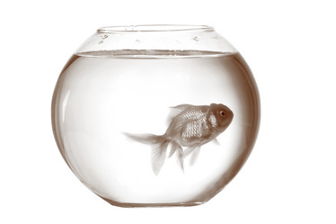 Similar image 1186618