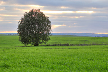 Similar image 1186620