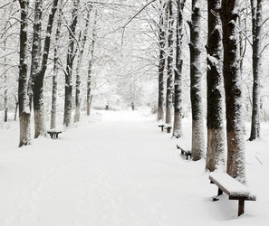 Similar image 1186623