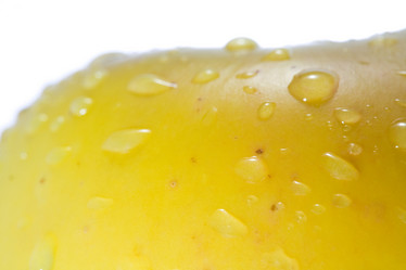 Similar image 1186633