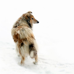 Similar image 1186640