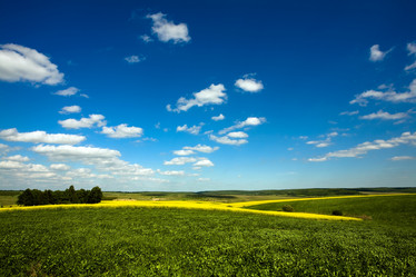 Similar image 1186673