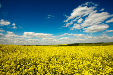 Similar image 1186675