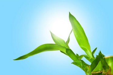 Similar image 1186676