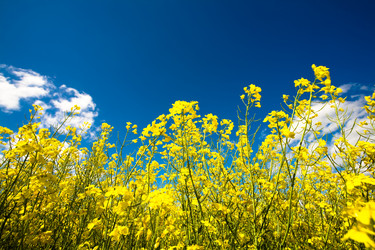 Similar image 1186679