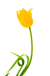 Similar image 1186684