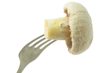 Similar image 1186686