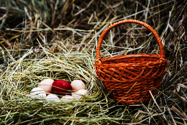 Similar image 1186693