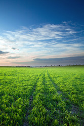 Similar image 1186699