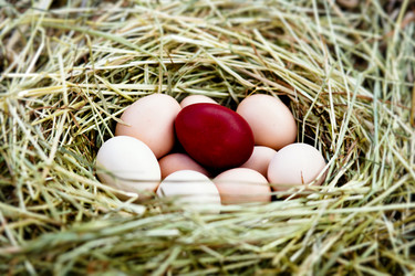 Similar image 1186700