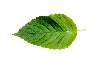 Similar image 1186702