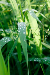 Similar image 1186703