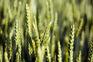 Similar image 1186705