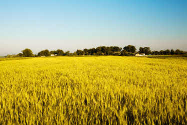 Similar image 1186707